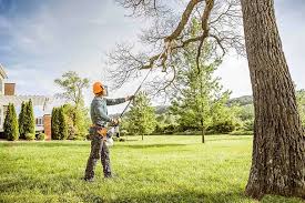 Best Tree Preservation Services  in Cowarts, AL